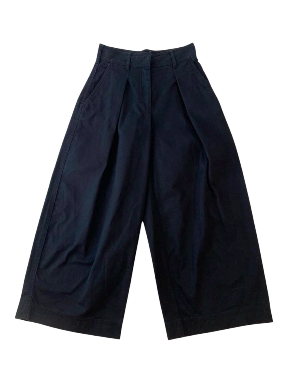 Aritzia Babaton Black Pleated Ultra Wide Leg Cropped Pants Size 00
